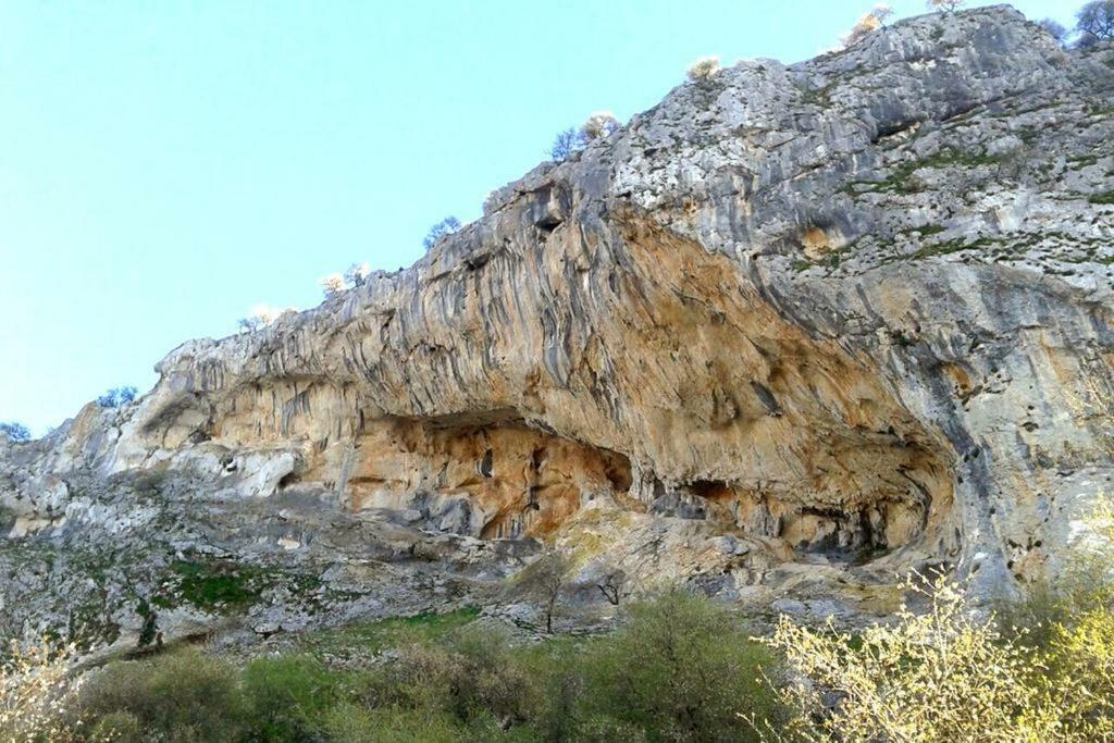 Villanueva del Rosario La Casita De Piedraヴィラ エクステリア 写真